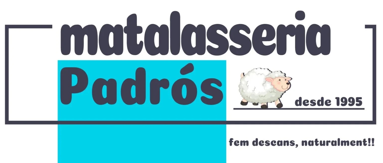 Imagen-de-WhatsApp-2025-03-03-a-las-13.37.57_6d2c6166